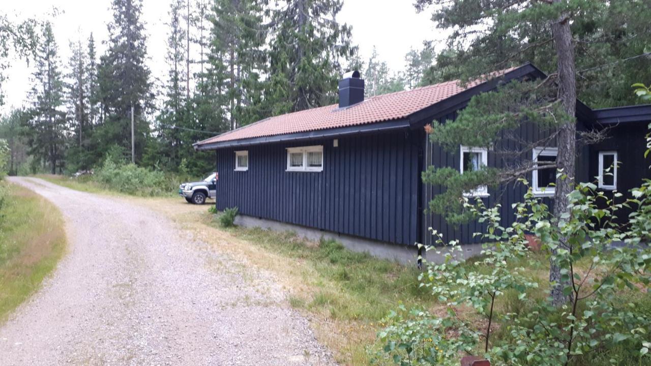 Granheim Hytte Med 2 Soverom Birkeland Exterior photo
